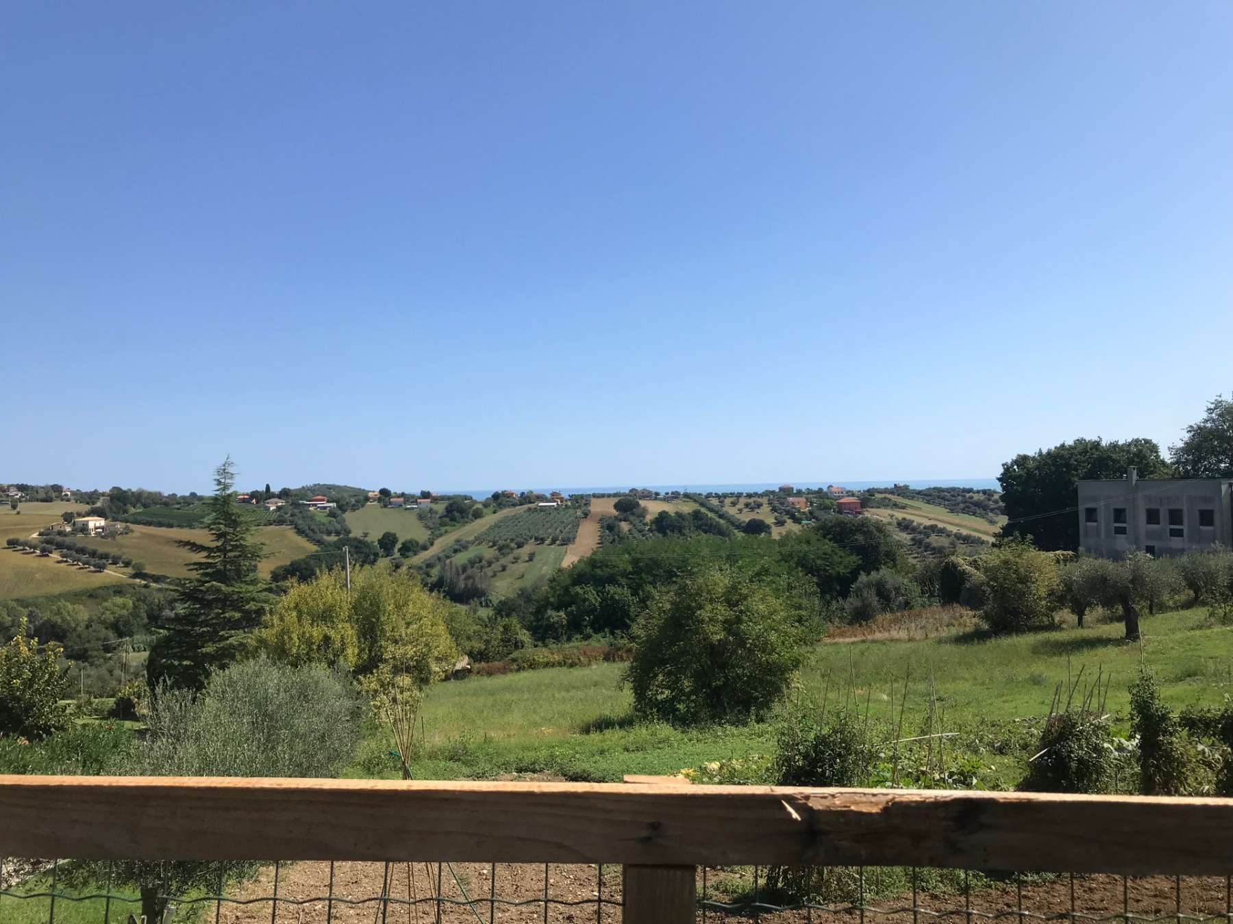 Affitto