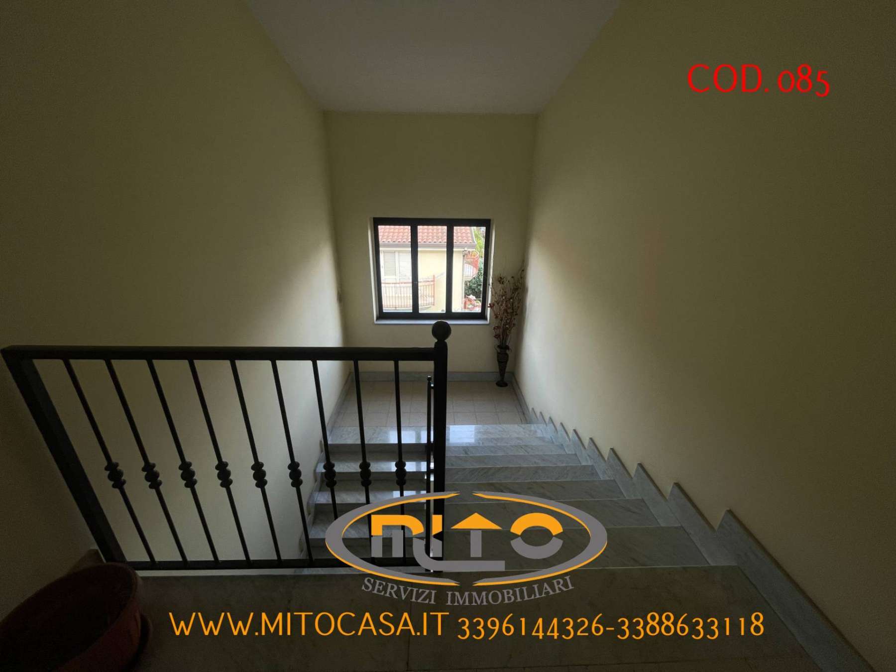 Affitto
