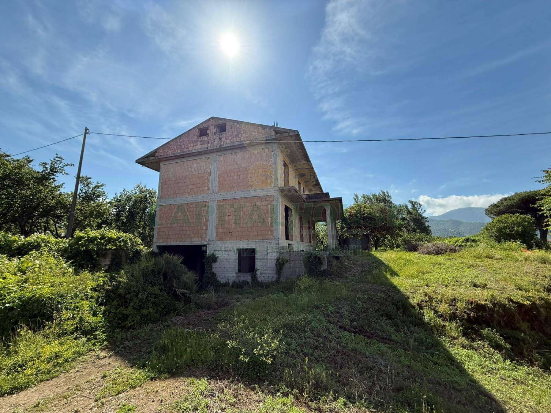 Affitto