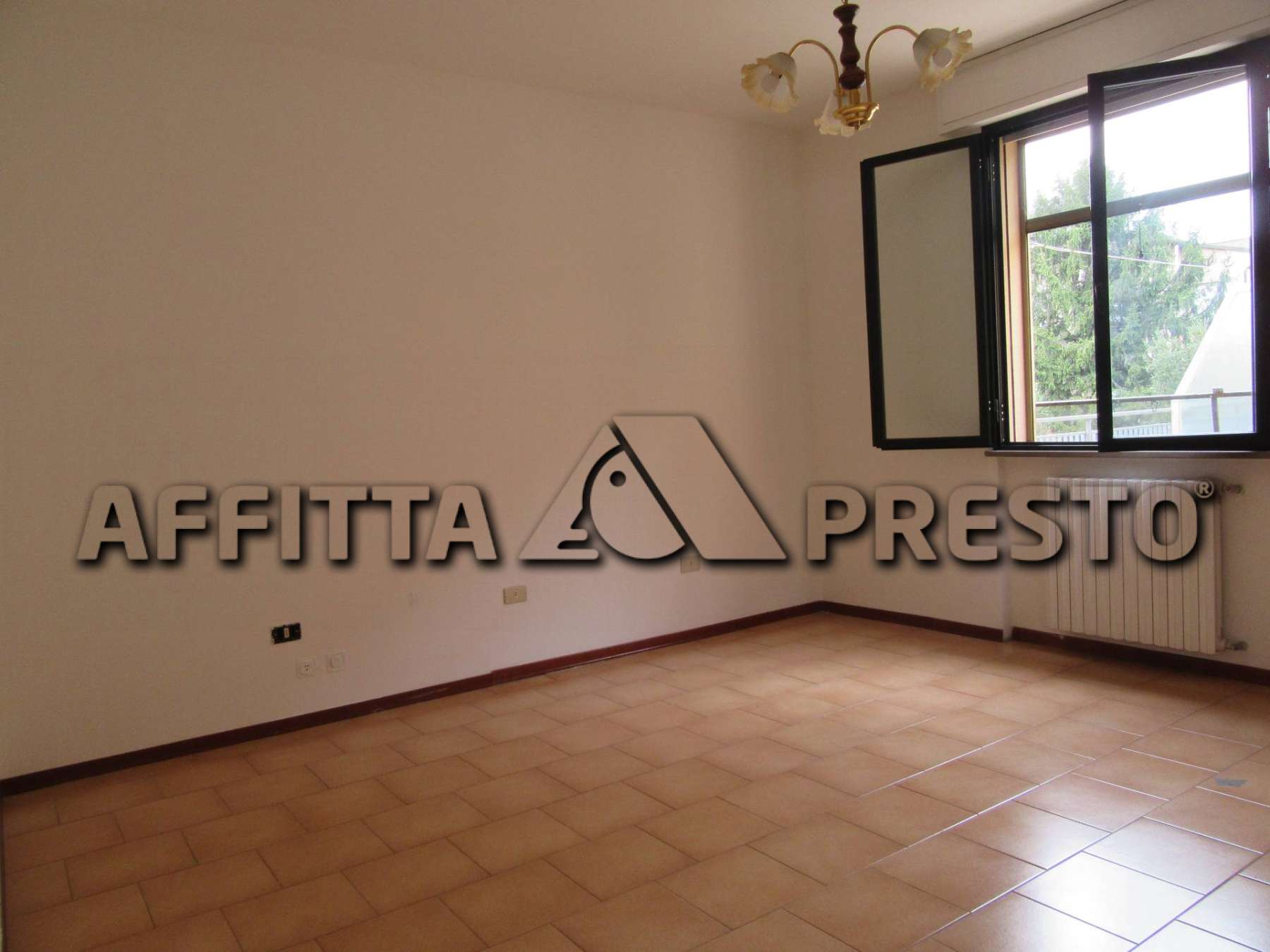 Affitto