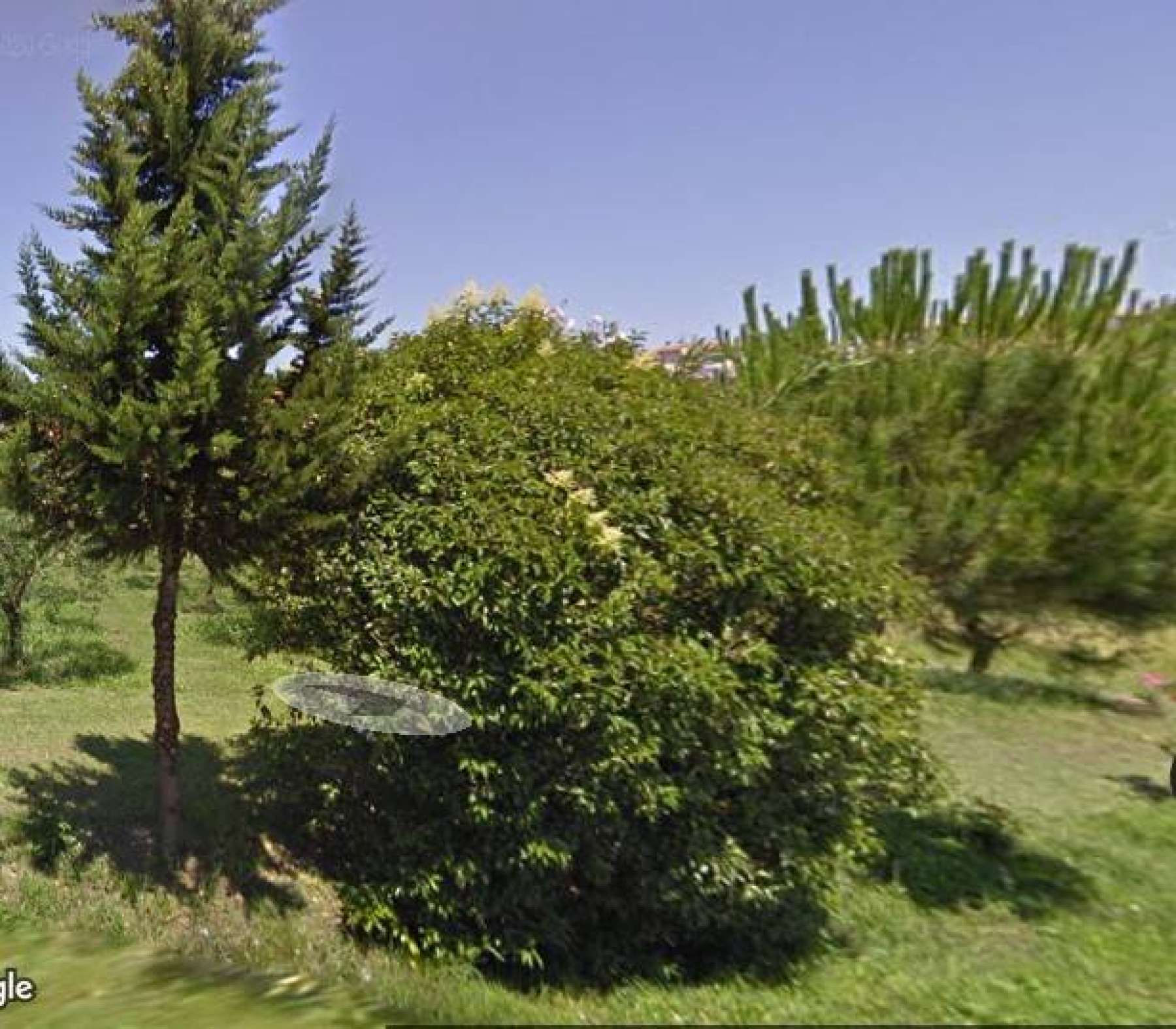 Affitto
